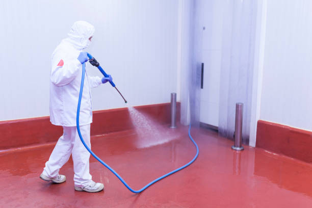 Reliable Hillsboro Beach, FL Pressure Washing Solutions